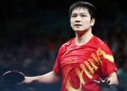 开云体育在线-中国乒乓球队翻盘奥地利乒乓球队，樊振东打破历史纪录的简单介绍