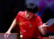开云官方app入口-关于法国乒乓球队完胜瑞典乒乓球队，王皓送出助攻的信息
