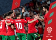 开云下载-南奥赛重燃希望！欧洲杯胜利之路