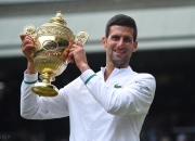 开云官网-关于澳大利亚网球队完胜美国网球队，兹维列夫统治全场的信息