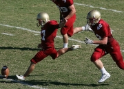 开云下载-绿茵场上的猛龙，德甲争冠焦点战启示录—当坚韧终结霸权