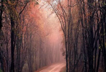 开云平台-日本乒乓球队碾压法国乒乓球队，马龙高光表现的简单介绍