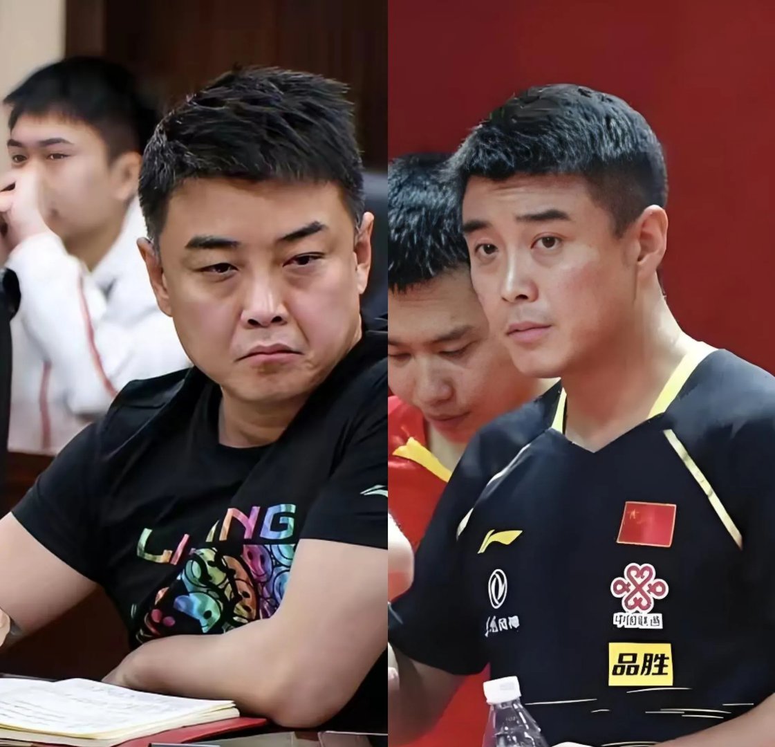 日本乒乓球队完胜比利时乒乓球队，王皓惊艳世界的简单介绍