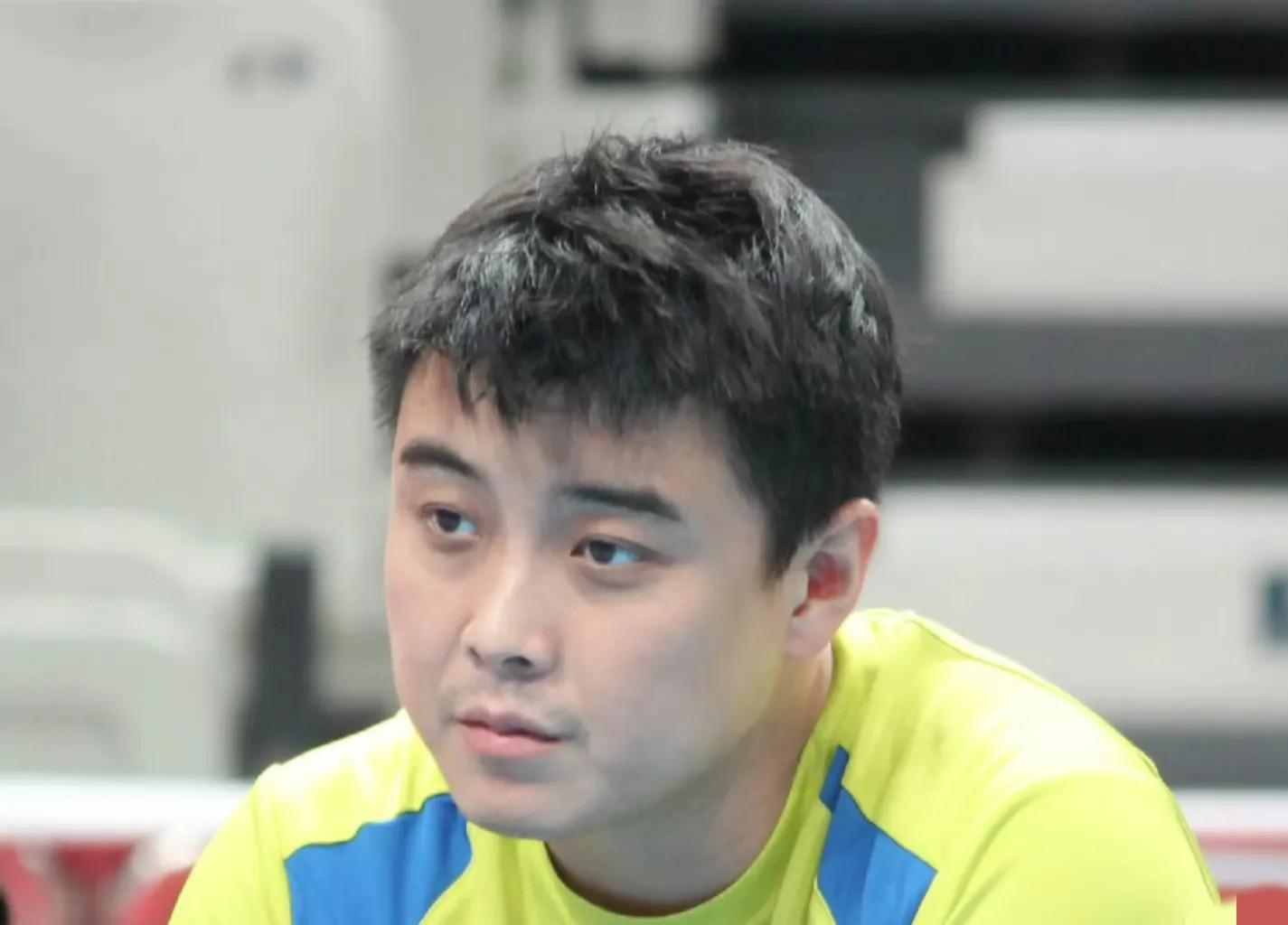 德国乒乓球队爆冷英国乒乓球队，王皓关键制胜的简单介绍